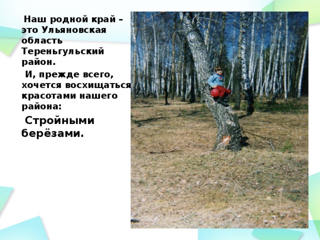 Наш родной край – это Ульяновская область Тереньгульский район.  И, прежде всего, хочется восхищаться красотами нашего района:  Стройными берёзами.