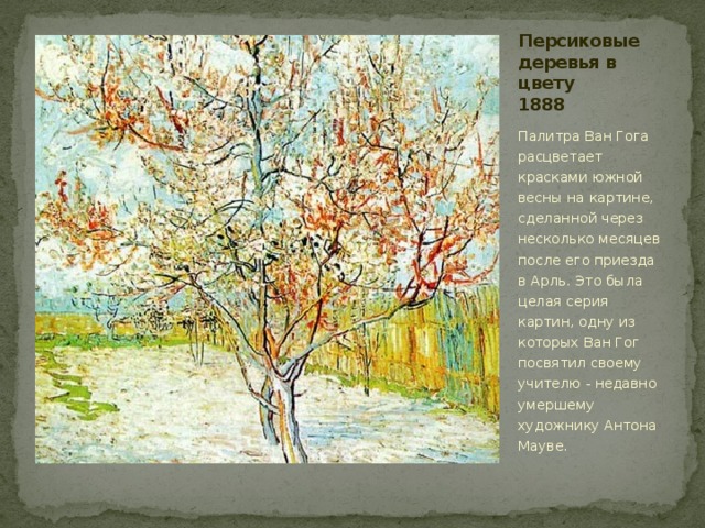 Персиковые деревья в цвету  1888 Палитра Ван Гога расцветает красками южной весны на картине, сделанной через несколько месяцев после его приезда в Арль. Это была целая серия картин, одну из которых Ван Гог посвятил своему учителю - недавно умершему художнику Антона Мауве.