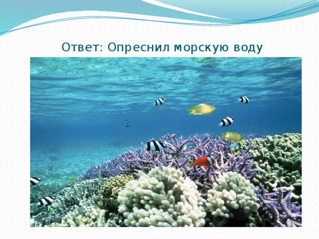 Ответ: Опреснил морскую воду