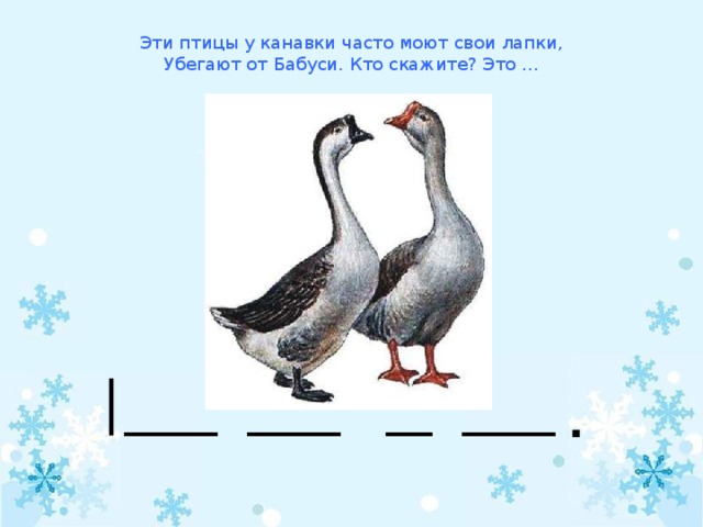 Эти птицы у канавки часто моют свои лапки,  Убегают от Бабуси. Кто скажите? Это … ____ ____ __ ____ .