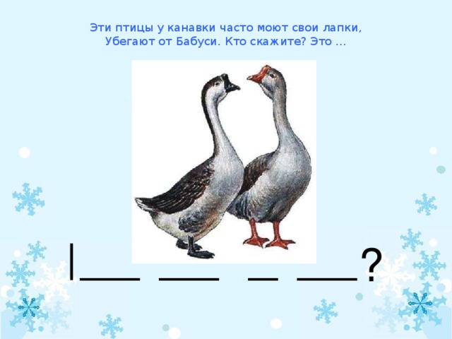 Эти птицы у канавки часто моют свои лапки,  Убегают от Бабуси. Кто скажите? Это … ____ ____ __ ____ ?