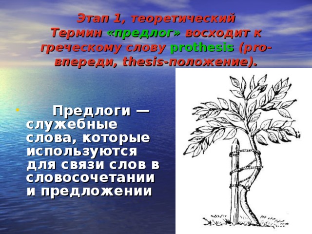 Этап 1, теоретический  Термин «предлог» восходит к греческому слову  prothesis  (pro- впереди, thesis- положение).          Предлоги — служебные слова, которые используются для связи слов в словосочетании и предложении