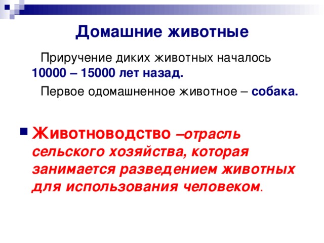 Домашние животные  Приручение диких животных началось 10000 – 15000 лет назад.  Первое одомашненное животное – собака.