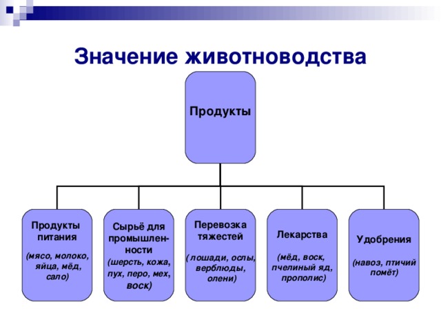 Значение животноводства Продукты  Продукты питания  (мясо, молоко,  яйца, мёд, сало)    Сырьё для промышлен- ности (шерсть, кожа , пух, перо, мех , воск)   Удобрения  (навоз, птичий помёт) Лекарства  (мёд, воск, пчелиный яд,  прополис)    Перевозка тяжестей  ( лошади, ослы, верблюды,  олени)