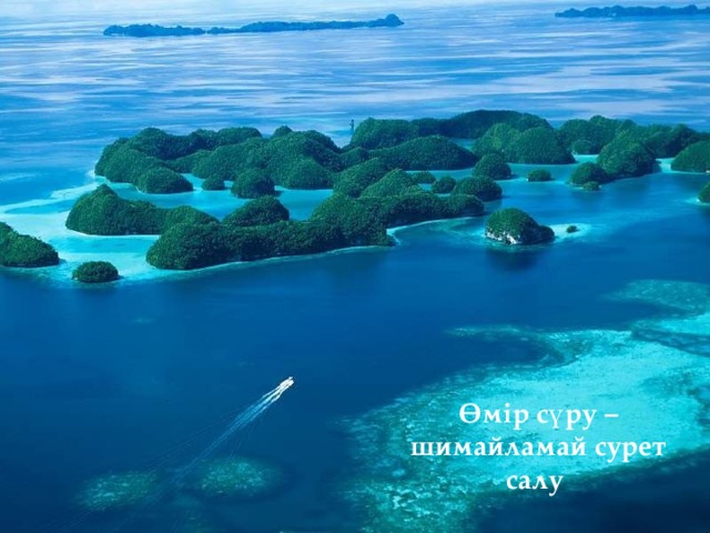 Өмір сүру – шимайламай сурет салу