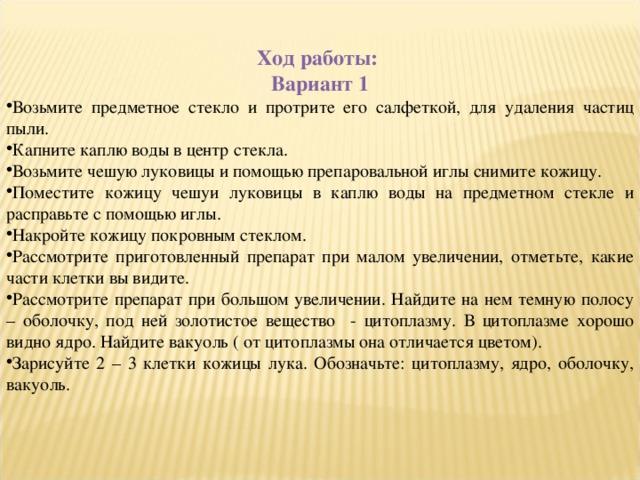 Ход работы: Вариант 1 Возьмите предметное стекло и протрите его салфеткой, для удаления частиц пыли. Капните каплю воды в центр стекла. Возьмите чешую луковицы и помощью препаровальной иглы снимите кожицу. Поместите кожицу чешуи луковицы в каплю воды на предметном стекле и расправьте с помощью иглы. Накройте кожицу покровным стеклом. Рассмотрите приготовленный препарат при малом увеличении, отметьте, какие части клетки вы видите. Рассмотрите препарат при большом увеличении. Найдите на нем темную полосу – оболочку, под ней золотистое вещество - цитоплазму. В цитоплазме хорошо видно ядро. Найдите вакуоль ( от цитоплазмы она отличается цветом). Зарисуйте 2 – 3 клетки кожицы лука. Обозначьте: цитоплазму, ядро, оболочку, вакуоль.