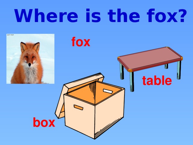 Where is the fox? fox table box