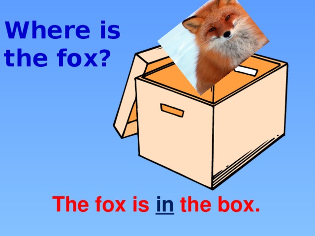 Where is the fox? The fox is in  the box.