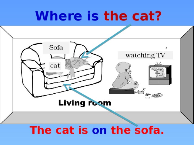 Where is the cat? The cat is on the sofa.