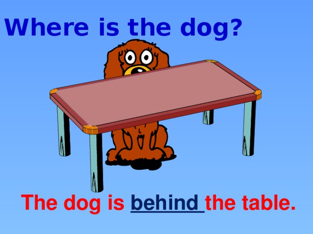 Where is the dog? The dog is behind the table.