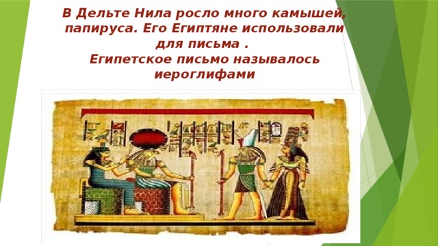 В Дельте Нила росло много камышей, папируса. Его Египтяне использовали для письма .  Египетское письмо называлось иероглифами