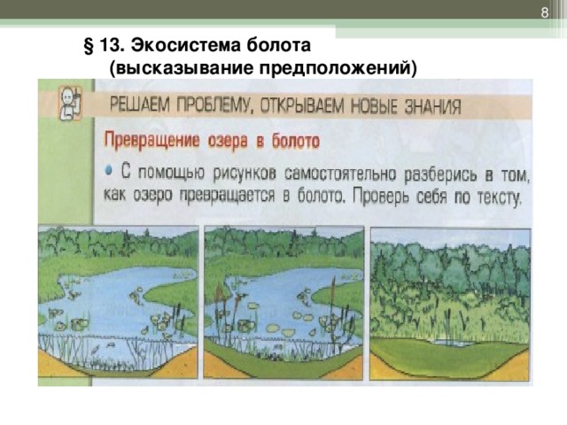 § 13. Экосистема болота (высказывание предположений)