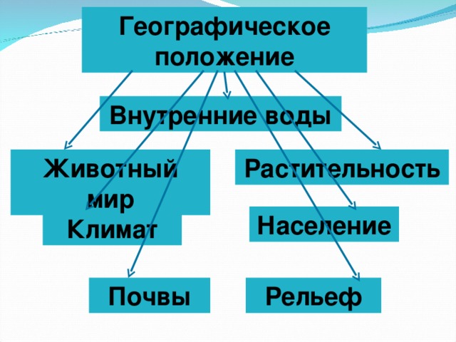 Географическое положение Внутренние воды Растительность Животный мир Население Климат Рельеф Почвы