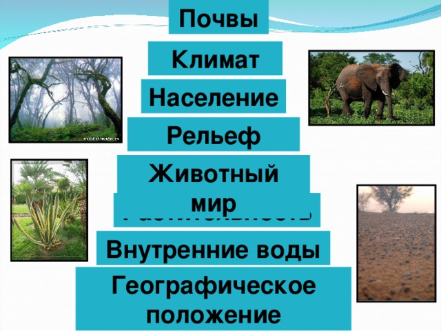 Почвы Климат Население Рельеф Животный мир Растительность Внутренние воды Географическое положение