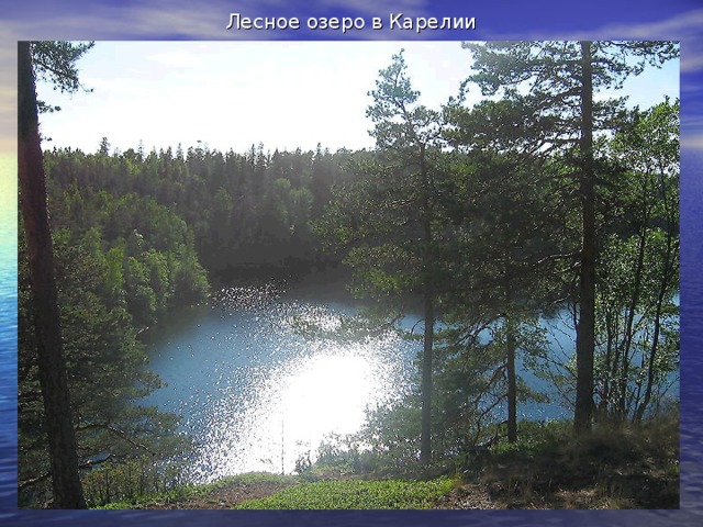 Лесное озеро в Карелии