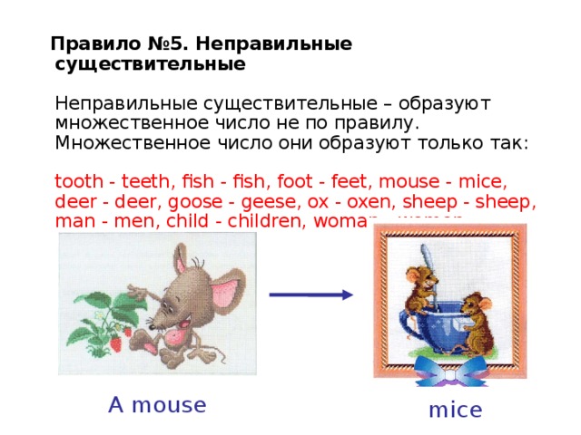 Правило №5. Неправильные существительные   Неправильные существительные – образуют множественное число не по правилу. Множественное  число  они  образуют  только  так :   tooth - teeth, fish - fish, foot - feet, mouse - mice, deer - deer, goose - geese, ox - oxen, sheep - sheep, man - men, child - children, woman - women    A mouse mice