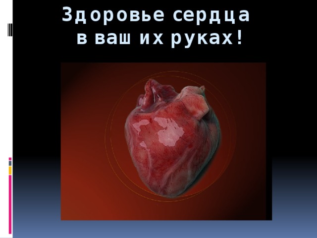 Здоровье сердца  в ваших руках!