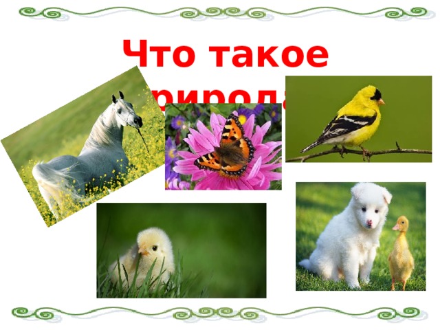 Что такое природа?