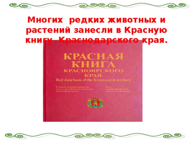 Многих редких животных и растений занесли в Красную книгу Краснодарского края.