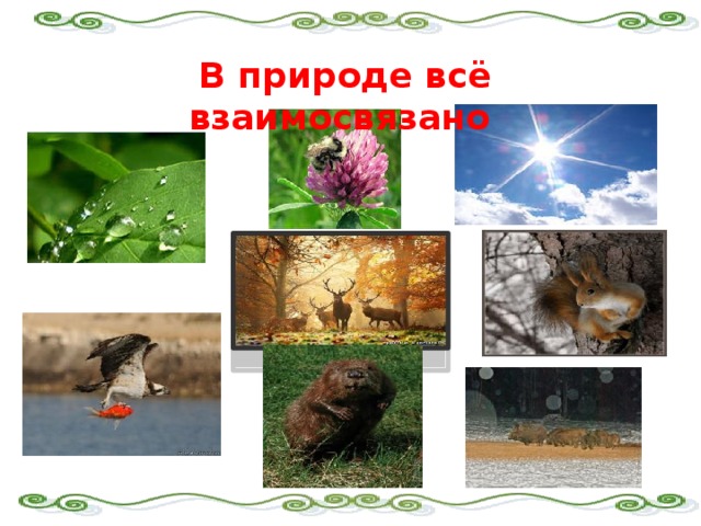 В природе все взаимосвязано. Как всё взаимосвязано в природе. Рисунок на тему в природе всё взаимосвязано. В природе все взаимосвязано схема. Животные в природе всё взаимосвязано.