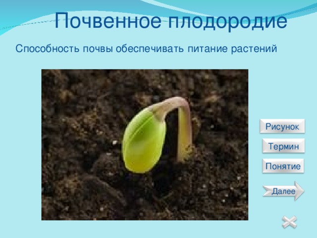 Почвенное плодородие Способность почвы обеспечивать питание растений  Рисунок  Термин Понятие Далее 20