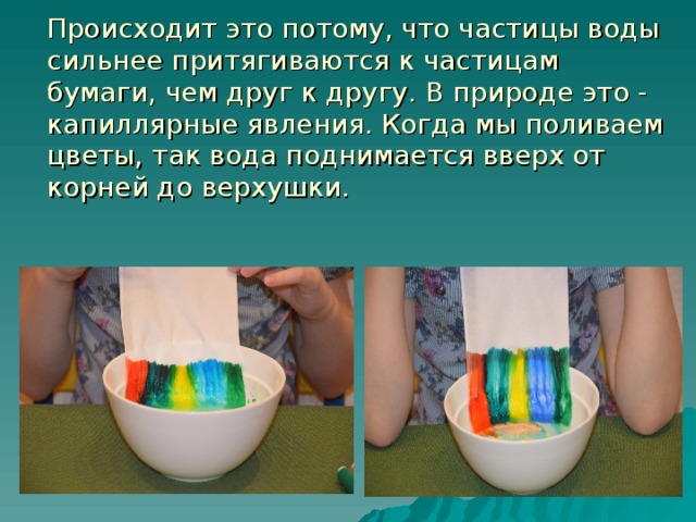 Происходит это потому, что частицы воды сильнее притягиваются к частицам бумаги, чем друг к другу. В природе это - капиллярные явления. Когда мы поливаем цветы, так вода поднимается вверх от корней до верхушки.