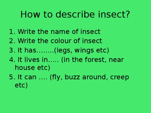 How to describe insect? 1. Write the name of insect 2. Write the colour of insect 3. It has……..(legs, wings etc) 4. It lives in….. (in the forest, near house etc) 5. It can …. (fly, buzz around, creep etc)
