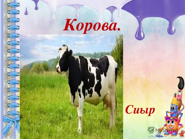 Корова. Сиыр