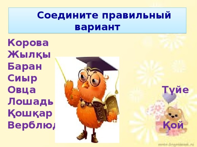 Корова Жылқы Баран Сиыр Овца Түйе Лошадь Қошқар Верблюд Қой    Соедините правильный вариант