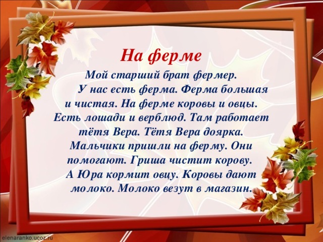 На ферме Мой старший брат фермер.  У нас есть ферма. Ферма большая и чистая. На ферме коровы и овцы. Есть лошади и верблюд. Там работает тётя Вера. Тётя Вера доярка. Мальчики пришли на ферму. Они помогают. Гриша чистит корову.  А Юра кормит овцу. Коровы дают молоко. Молоко везут в магазин.