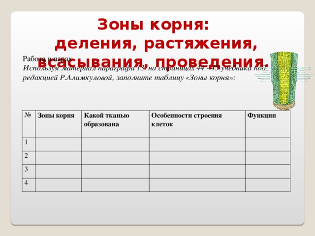 Зоны корня: деления, растяжения, всасывания, проведения. Работа в парах Используя материал параграфа 13 на страницах 44 - 45 учебника под редакцией Р.Алимкуловой, заполните таблицу «Зоны корня»: № 1 Зоны корня 2 Какой тканью образована 3 Особенности строения клеток Функции 4