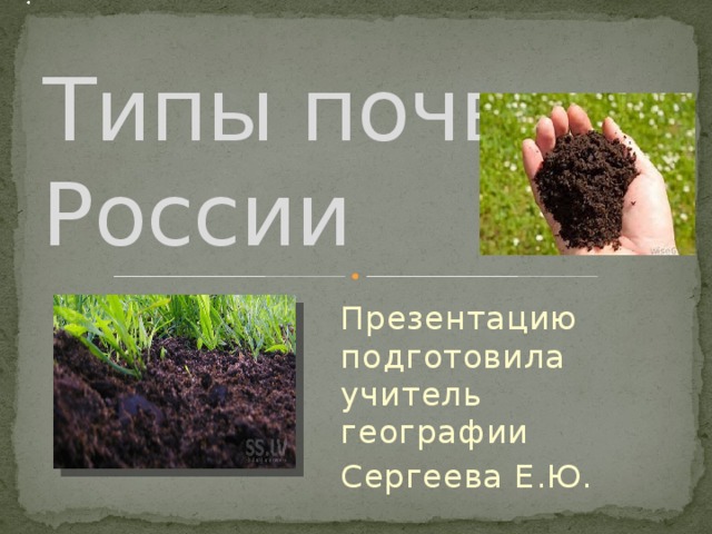 Типы почв России Презентацию подготовила учитель географии Сергеева Е.Ю.
