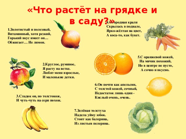 «Что растёт на грядке и в саду?» 4.Огородная краля  Скрылась в подвале,  Ярко-жёлтая на цвет,  А коса-то, как букет. 1.Золотистый и полезный,  Витаминный, хотя резкий,  Горький вкус имеет он…  Обжигает… Не лимон. 5.С оранжевой кожей,  На мячик похожий,  Но в центре не пусто,  А сочно и вкусно. 2.Круглое, румяное,  Я расту на ветке.  Любят меня взрослые,  И маленькие детки. 6.Он почти как апельсин,  С толстой кожей, сочный,  Недостаток лишь один -  Кислый очень, очень. 3.Сладок он, но толстокож,  И чуть-чуть на серп похож. 7.Зелёная толстуха  Надела уйму юбок.  Стоит как балерина,  Из листьев пелерина.