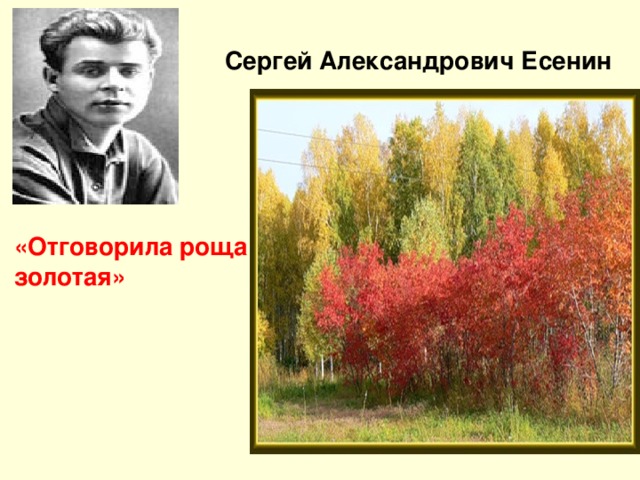 Сергей Александрович Есенин «Отговорила роща золотая»
