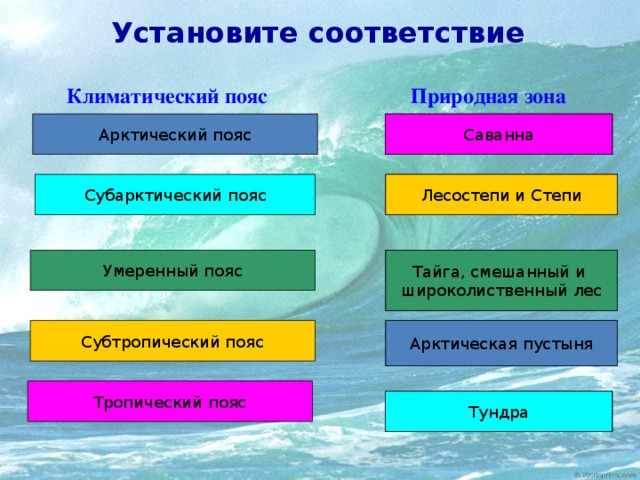 Установите соответствие Природная зона Климатический пояс Саванна Саванна Арктический пояс Субарктический пояс Лесостепи и Степи Лесостепи и Степи Тайга, смешанный и Тайга, смешанный и Умеренный пояс широколиственный лес широколиственный лес Арктическая пустыня Субтропический пояс Арктическая пустыня Тропический пояс Тундра Тундра