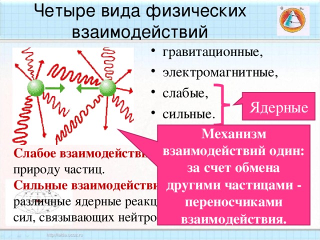 Четыре вида физических взаимодействий гравитационные, электромагнитные, слабые,  сильные. Ядерные Механизм взаимодействий один: за счет обмена другими частицами - переносчиками взаимодействия. Слабое взаимодействие - меняет внутреннюю природу частиц. Сильные взаимодействия - обусловливают различные ядерные реакции, а также возникновение сил, связывающих нейтроны и протоны в ядрах.