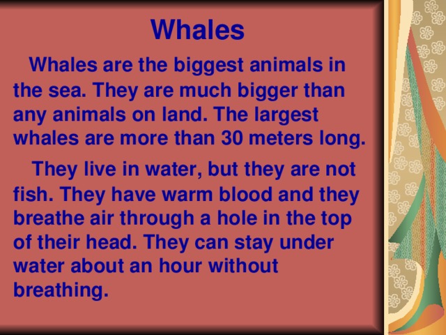 Whales   Whales are the biggest animals in the sea. They are much bigger than any animals on land. The largest whales are more than 30 meters long.    They live in water, but they are not fish. They have warm blood and they breathe air through a hole in the top of their head. They can stay under water about an hour without breathing.