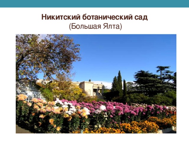 Никитский ботанический сад  (Большая Ялта)