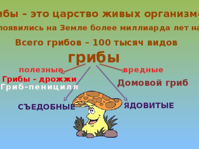 Грибы – это царство живых организмов  Они появились на Земле более миллиарда лет назад Всего грибов – 100 тысяч видов грибы полезные вредные Грибы - дрожжи Домовой гриб Гриб-пеницилл ядовитые съедобные