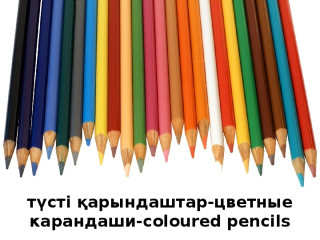 түсті қарындаштар-цветные карандаши-coloured pencils