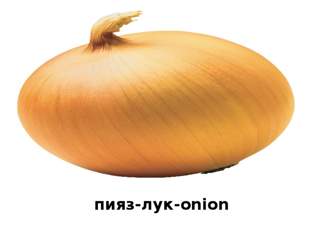 пияз-лук-onion