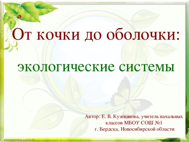 От кочки до оболочки: экологические системы Автор: Е. В. Кузеванова, учитель начальных классов МБОУ СОШ №1  г. Бердска, Новосибирской области