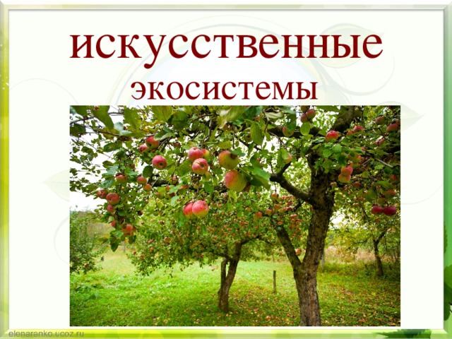 искусственные экосистемы