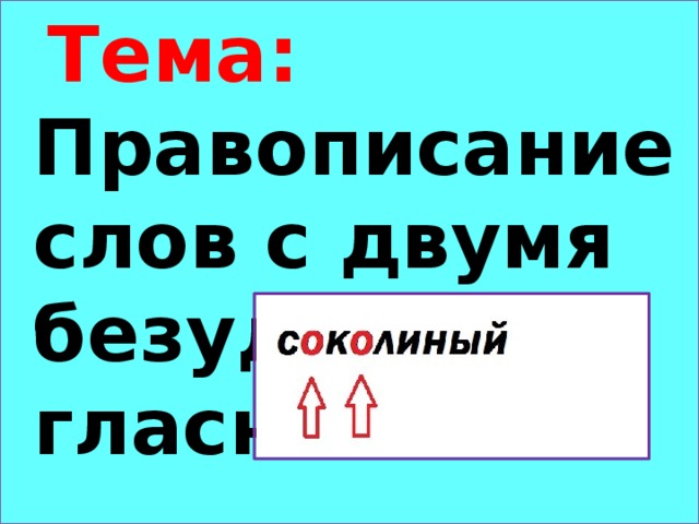 Тема: Правописание слов с двумя безударными гласными