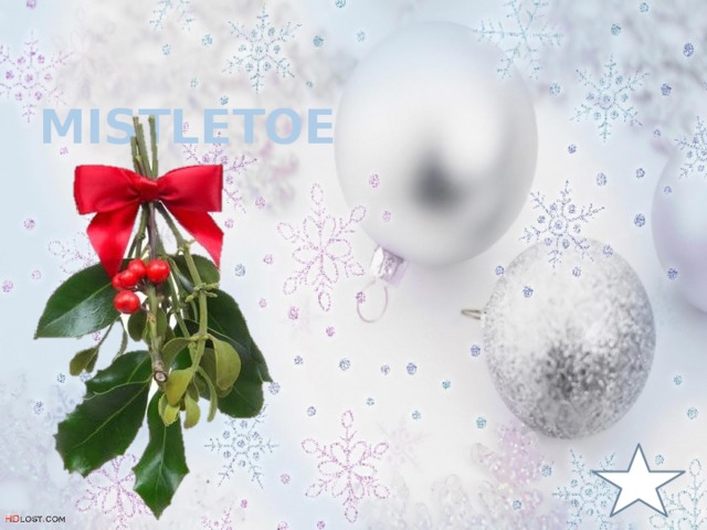 mistletoe c