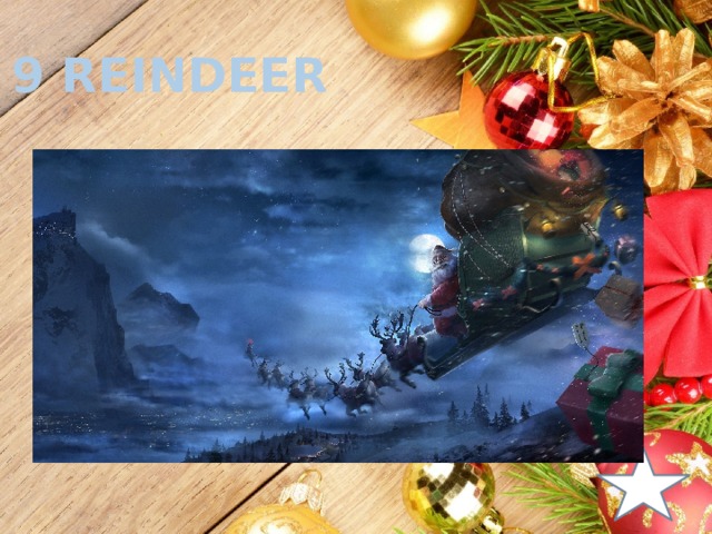 9 reindeer c