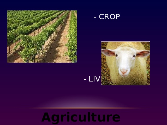 - Crop        - livestock Agriculture