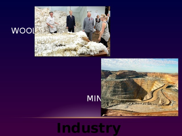 Wool        mining Industry