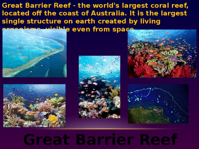 Great Barrier Reef - the world's largest coral reef, located off the coast of Australia. It is the largest single structure on earth created by living organisms, visible even from space. Great Barrier Reef