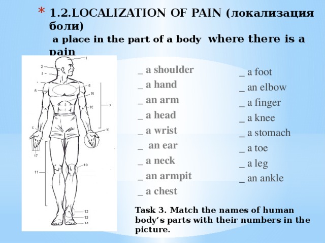 1.2.LOCALIZATION OF PAIN (локализация боли)  a place in the part of a body where there is a pain